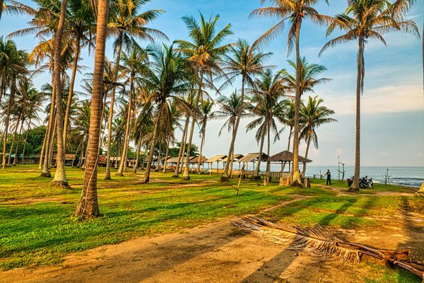 Wie kann man Hundeverhalten am besten verstehen und beeinflussen?